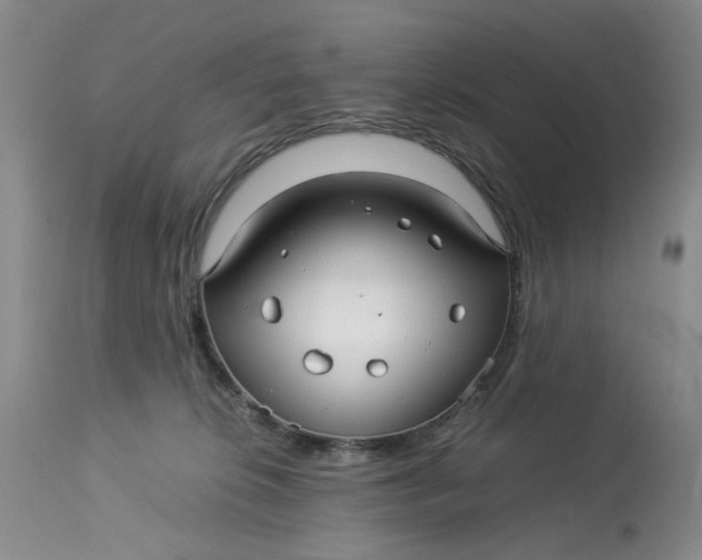 X0000114010276200910231821