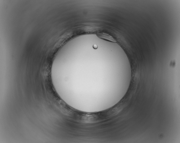 X0000114010277200910231821