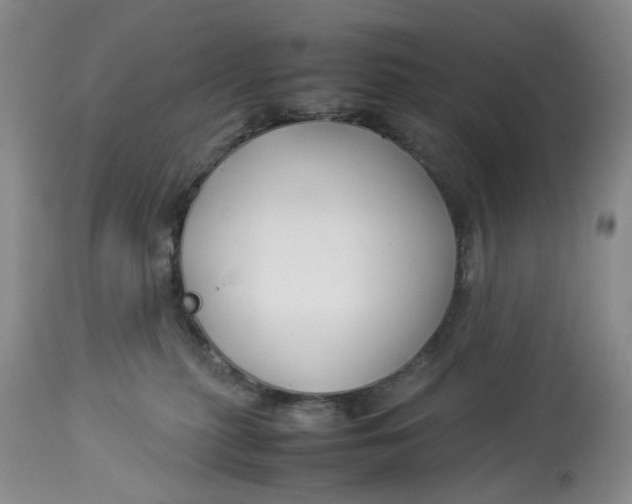 X0000114010279200910231821