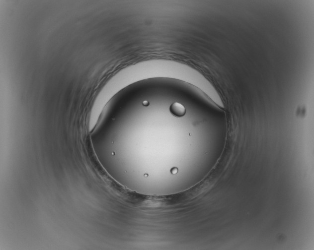 X0000114010280200910231822