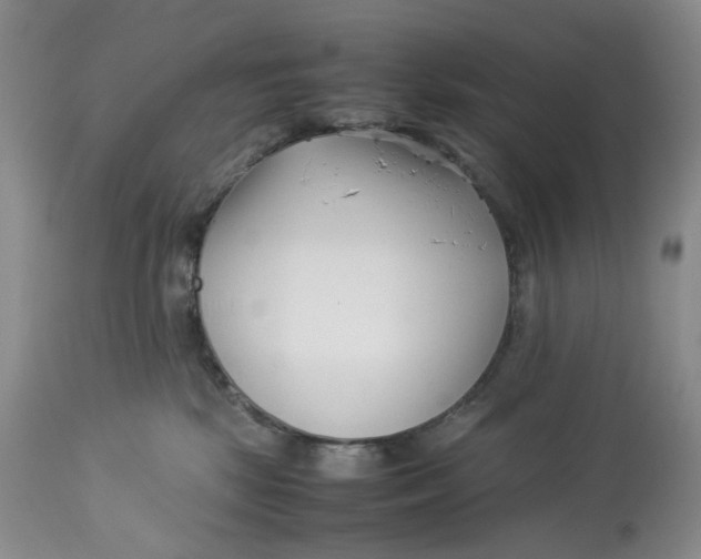 X0000114010281200910231822