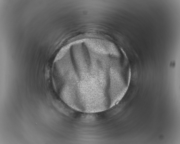 X0000114010282200910231822