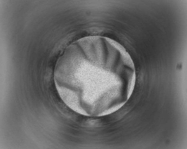 X0000114010283200910231822