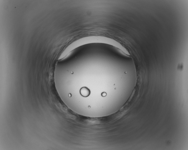 X0000114010284200910231822