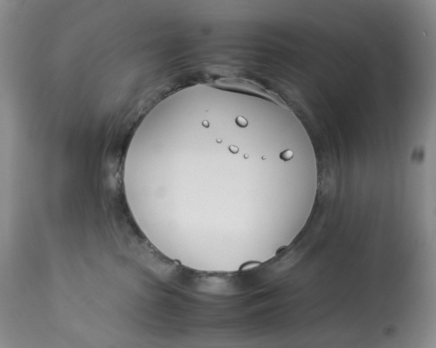 X0000114010285200910231822