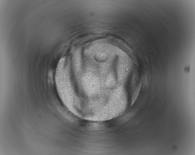 X0000114010286200910231822