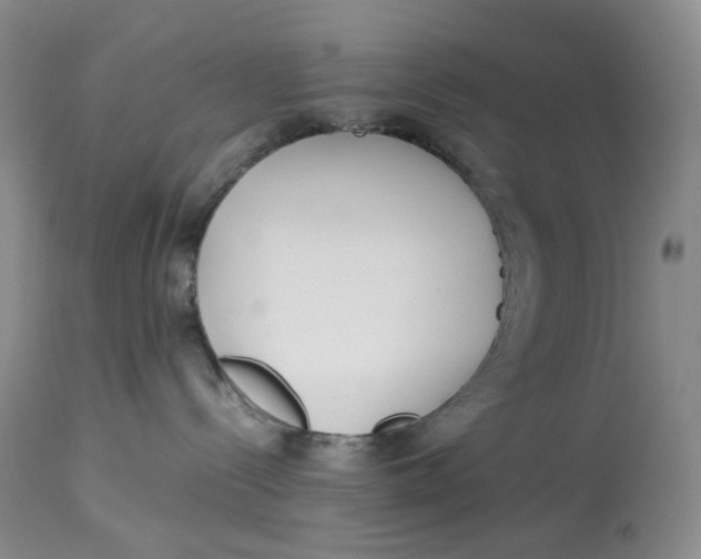 X0000114010288200910231822