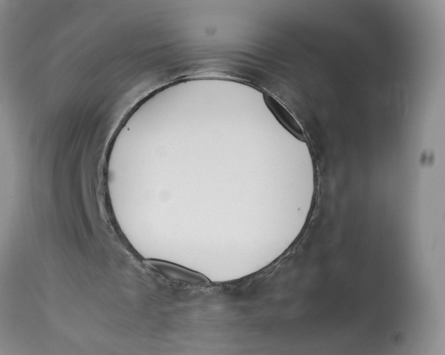 X0000114010289200910231821