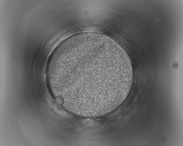 X0000114010290200910231821