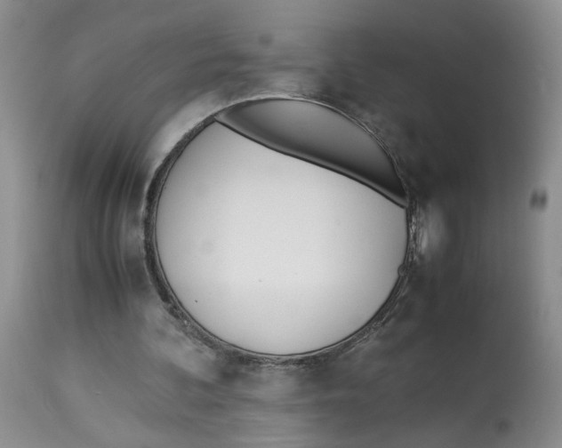 X0000114010292200910231821