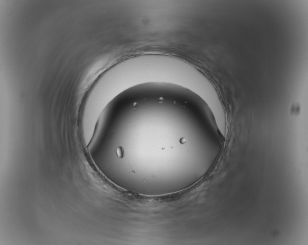 X0000114010293200910231821