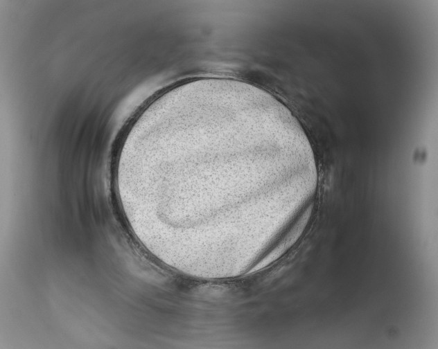 X0000114010294200910231821