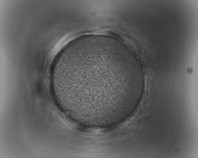 X0000114010295200910231821