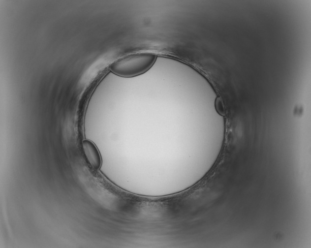 X0000114010296200910231821