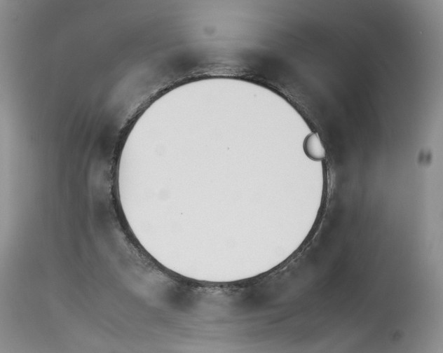 X0000114010297200910231821