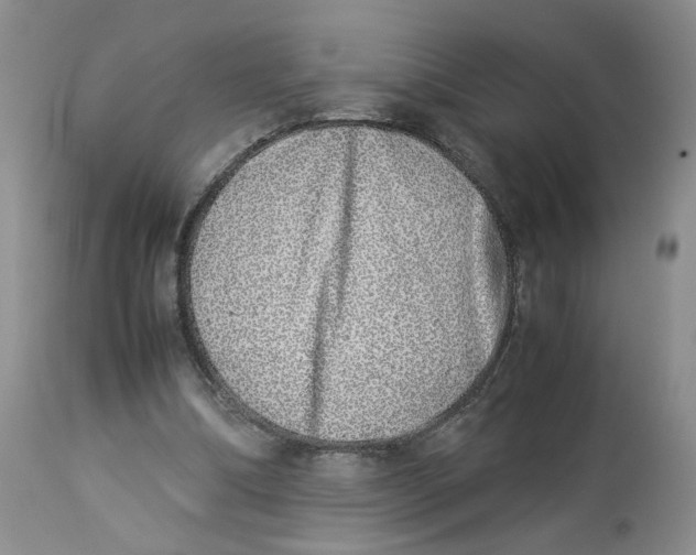 X0000114010298200910231821