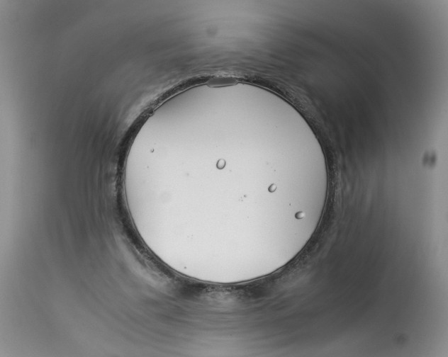 X0000114010299200910231821