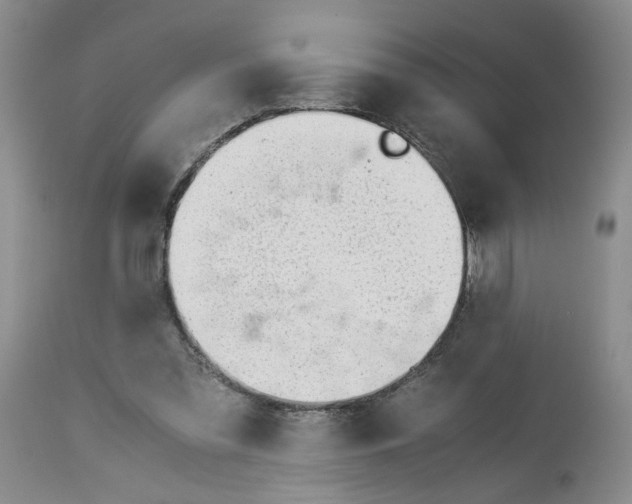 X0000114010301200910231821