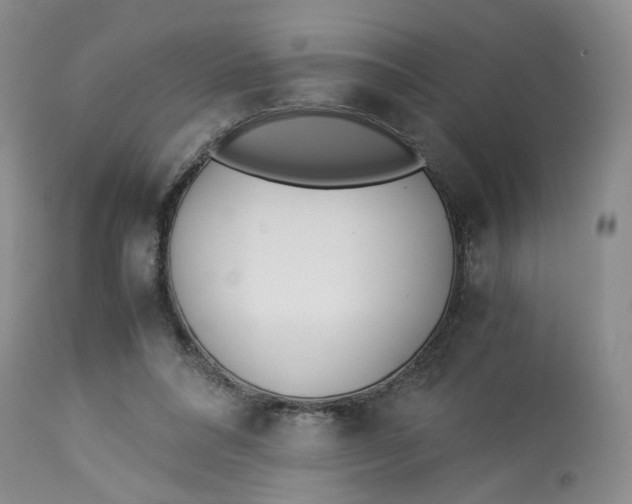 X0000114010304200910231821