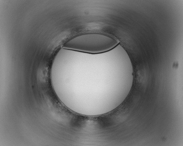 X0000114010308200910231821