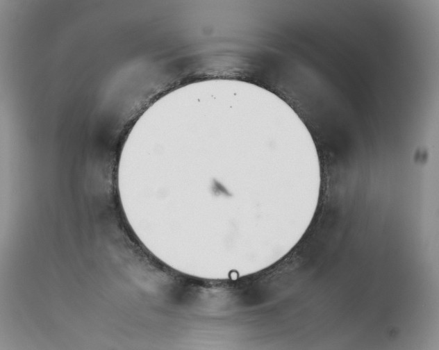 X0000114010309200910231821