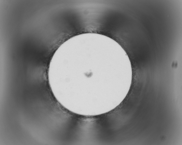 X0000114010313200910231821