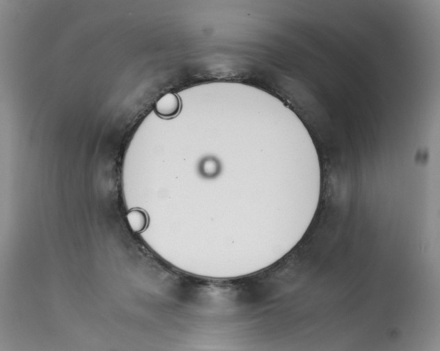 X0000114010317200910231821