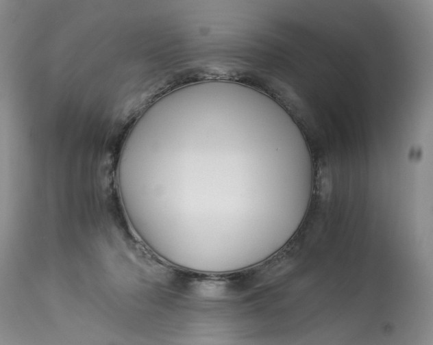 X0000114010318200910231821