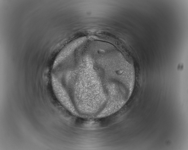 X0000114010319200910231821