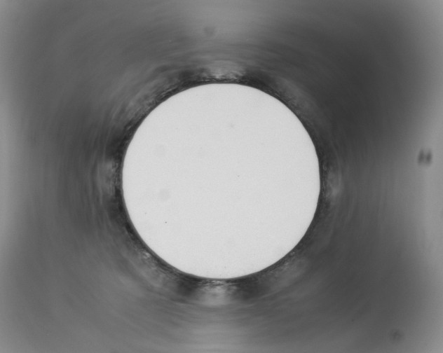 X0000114010321200910231821