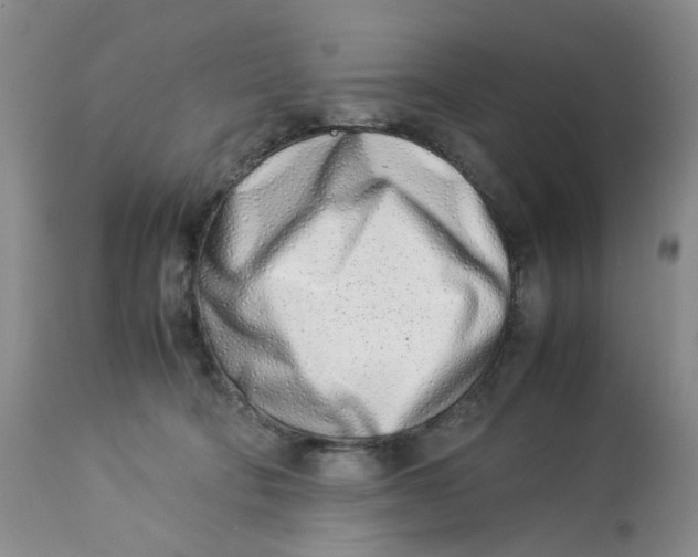 X0000114010322200910231821