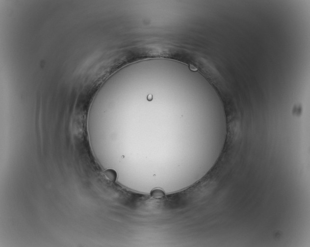 X0000114010325200910231820