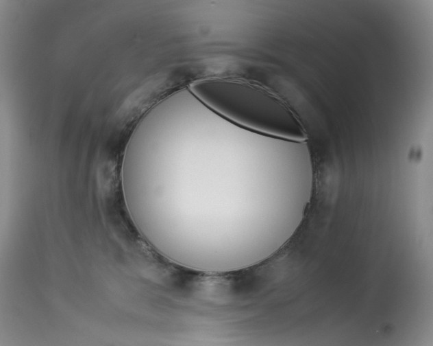 X0000114010327200910231820