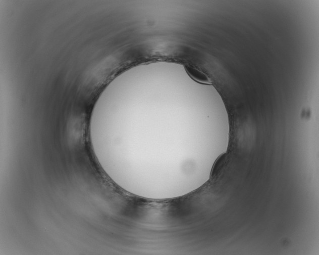 X0000114010328200910231820