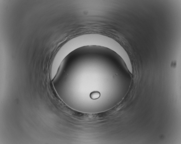 X0000114010329200910231820