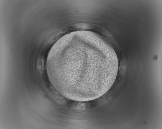 X0000114010330200910231820