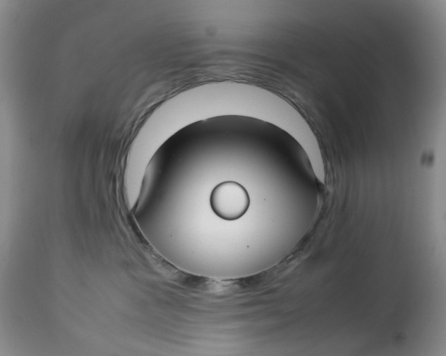 X0000114010333200910231820