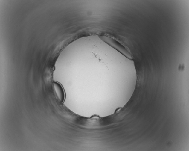 X0000114010335200910231820