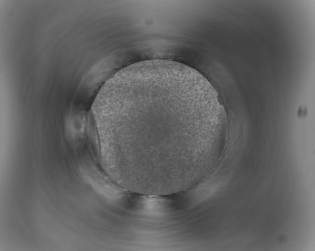 X0000114010336200910231820