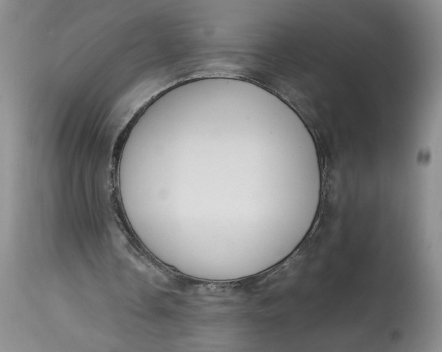 X0000114010338200910231820