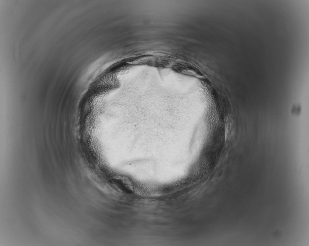 X0000114010339200910231820