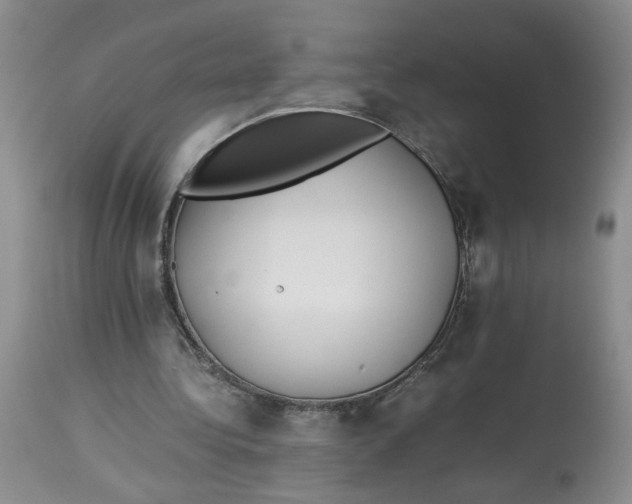 X0000114010340200910231820