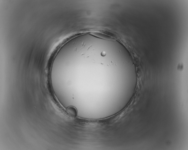 X0000114010342200910231820