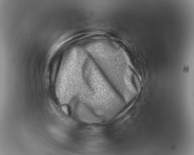 X0000114010343200910231820