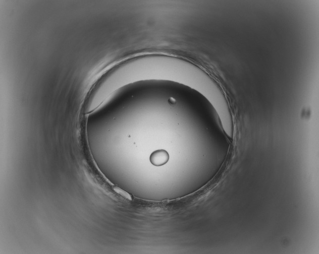 X0000114010344200910231820