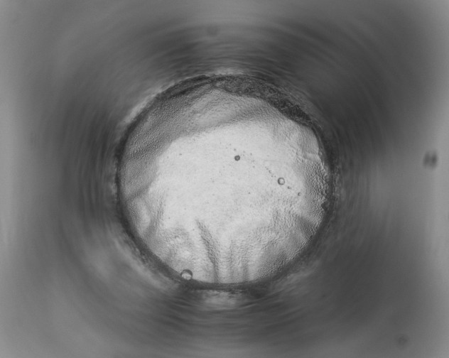 X0000114010347200910231820