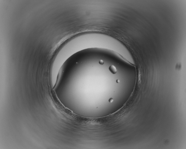 X0000114010348200910231820