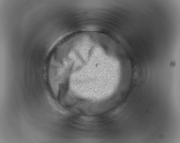 X0000114010351200910231820