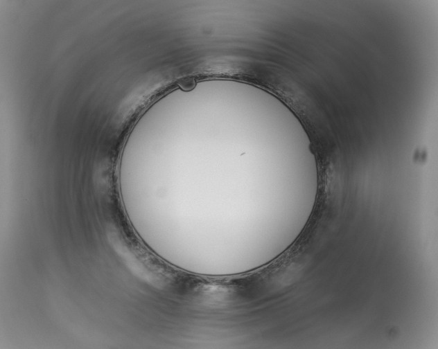 X0000114010352200910231820