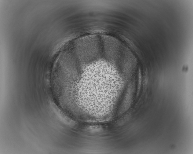 X0000114010353200910231820